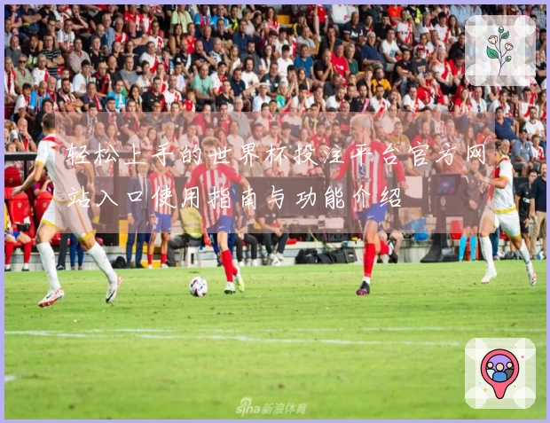 轻松上手的世界杯投注平台官方网站入口使用指南与功能介绍