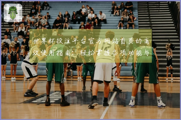 世界杯投注平台官方网站首页的高效使用指南：轻松掌握各项功能与入口介绍