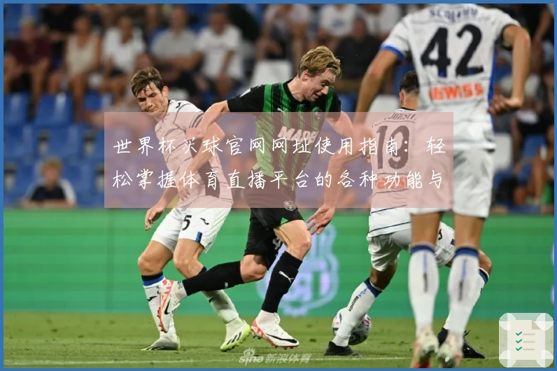 世界杯买球官网网址使用指南：轻松掌握体育直播平台的各种功能与玩法