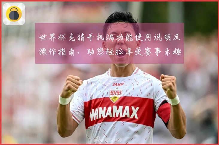 世界杯竞猜手机端功能使用说明及操作指南，助您轻松享受赛事乐趣